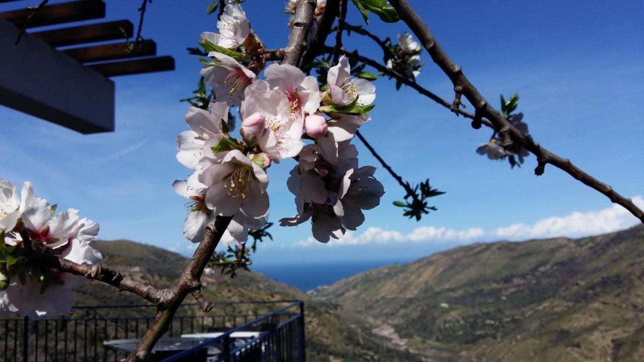 Bed and Breakfast Contrada Carmine Reitano  Exterior foto